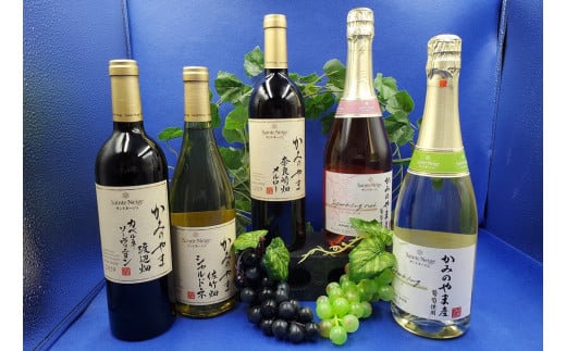 【定期便:全5回】サントネージュかみのやまプレミアムワイン 0141-2421