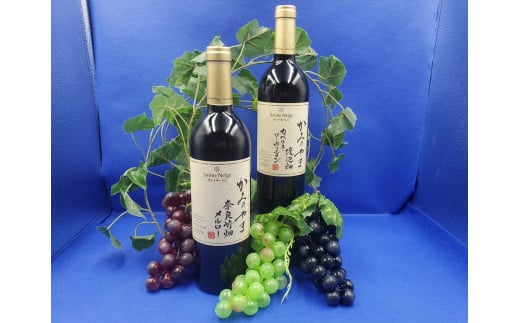 サントネージュかみのやまワインのみ比べ 2本セット 0141-2411