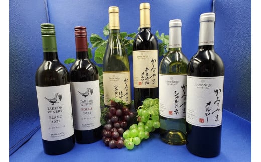 サントネージュかみのやまとタケダワイナリーのワクワクセット 0141-2413