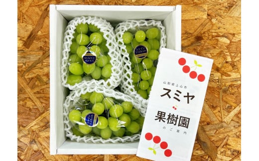 ぶどう(シャインマスカット)1.5kg(房小さめ) 0047-2509