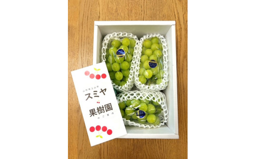 シャインマスカット 3房 合計1.8kg 特秀品・化粧箱入り 0047-2510
