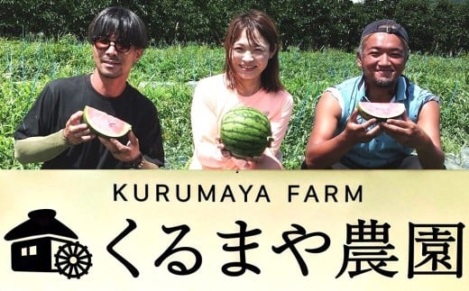 【フルーツ王国直送！】山形の小玉すいか（ひとりじめBONBON）２個　0033-2602