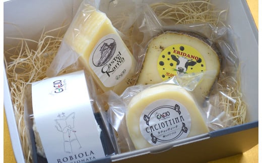 4種類の熟成チーズセット(黒胡椒のチーズ) 各1個 計360g チーズ 熟成チーズ セット 食べ比べ