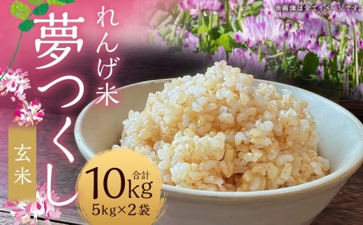 【れんげ米】【令和7年産】 夢つくし（玄米） 10kg（5kg×2袋） お米 玄米 【2025年9月上旬-12月下旬迄順次発送予定】