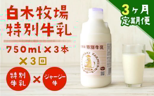 【3ヶ月定期便】 白木牧場 特別牛乳 750ml×3本 低温殺菌 牛乳 ジャージー牛乳 高品質 福岡県 嘉麻市