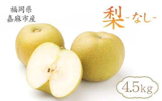 梨 4.5kg 九州産 二十世紀 豊水 南水 あきづき 新高 新興 王秋