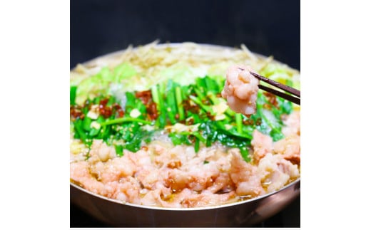 訳あり! 博多味噌もつ鍋 10人前セット 計約2.4kg