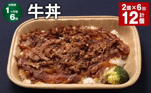 【1ヶ月毎6回定期便】 牛丼 計12個(2個×6回) 牛肉 牛 丼 うるち米 お米 惣菜 冷凍