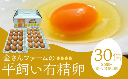【平飼い有精卵】30個入(26個+割れ保証4個) たまご 卵 玉子 鶏卵 平飼い 有精卵