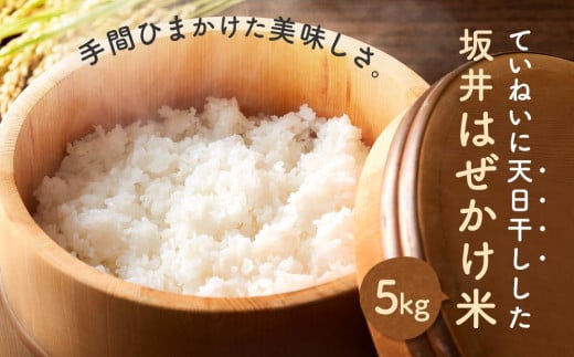 <直売所「まんだらの庄」>坂井はぜかけ米(5kg)