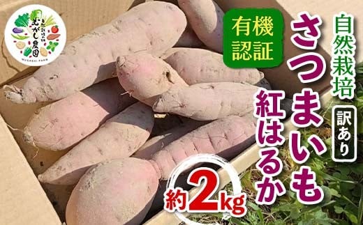 ≪訳あり≫ 有機認証 自然栽培 さつまいも (紅はるか) サイズ 混合 約2kg 【むがし農園】 サツマイモ 薩摩芋 焼芋 やきいも 焼きいも スイーツ おやつ デザート F21U-595