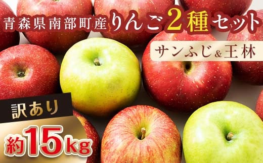 【訳あり】 青森産 完熟 りんご 約15kg サンふじ 王林 2種セット (中~大玉) 【誠果園】 青森りんご リンゴ 林檎 アップル あおもり 青森 青森県 南部町 三戸 南部 澁川賞受賞 果物 くだもの フルーツ 家庭用 わけあり ワケアリ 訳アリ 規格外品 3kg 5kg 10kg 以上 F21U-228