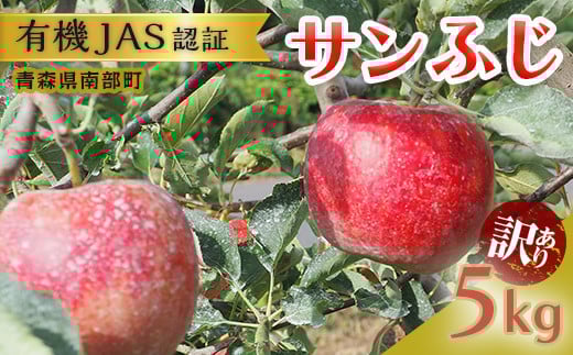 《訳あり》 有機JAS認証 サンふじ りんご 約5kg 【和楽堂りんご養生農苑】 青森りんご リンゴ 林檎 アップル 果物 くだもの フルーツ オーガニック 無農薬 おすすめ 家庭用 わけあり あおもり 青森県 三戸 南部町 3kg 以上 F21U-287