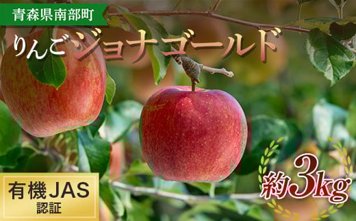 有機JAS認証 りんご ジョナゴールド 約3kg 【和楽堂りんご養生農苑】 青森りんご リンゴ 林檎 アップル あおもり 青森 青森県 南部町 三戸 南部 果物 くだもの フルーツ オーガニック F21U-323