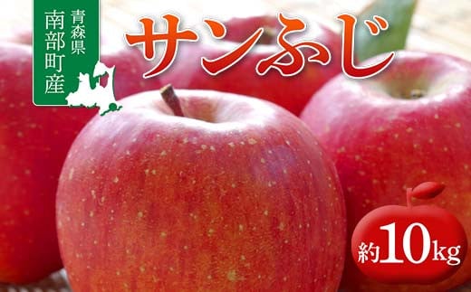 青森県 南部町産 りんご サンふじ 約10kg 【盛果園】 青森りんご リンゴ 林檎 アップル あおもり 青森 南部町 三戸 南部 果物 くだもの フルーツ 3kg 5kg 以上 F21U-366
