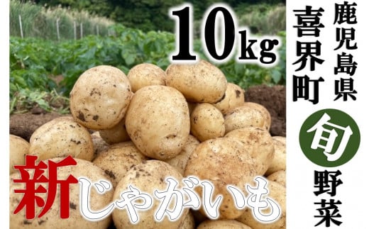 【2026年3月発送】"サンゴの恵み" 新じゃがいも 10kg【大小混合】