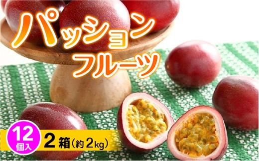 【2026年6月から発送】パッションフルーツ  12個入り×2箱(約2kg)
