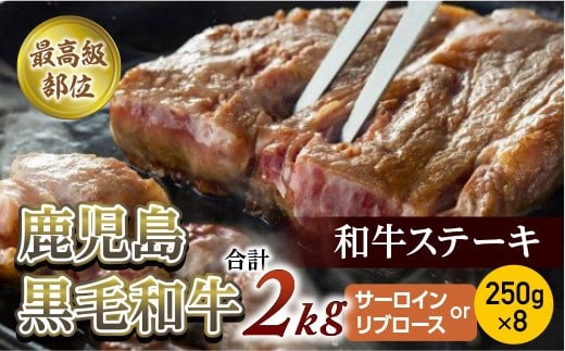 【最高級部位】鹿児島黒毛和牛ステーキ 250g×8 合計2Kg (サーロインorリブロース)【尾崎牧場】