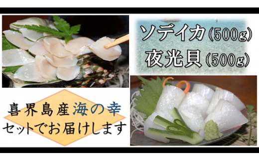 【2025年12月以降発送】【真空冷凍】夜光貝の刺身500ｇ・ソデイカ500ｇ【漁師直送!!】