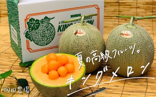 【先行予約】国田農場のキングメロン　1.6kg以上×2玉　北海道産　YE015