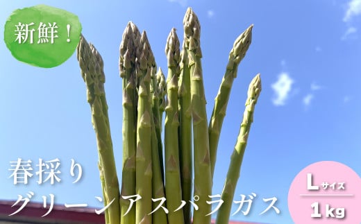 【先行予約】新鮮！春採り グリーンアスパラガスLサイズ1kg 東山農場　YC111