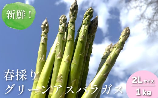 【先行予約】新鮮！春採り グリーンアスパラガス2Lサイズ1kg 東山農場　YD066