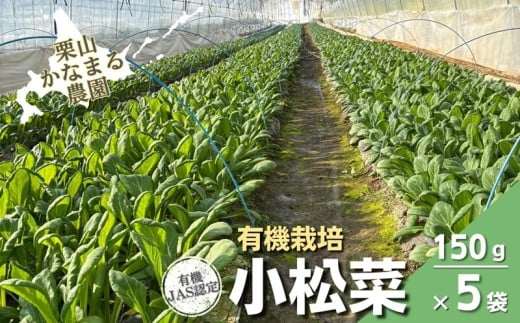 有機栽培 小松菜 150g×5袋　栗山かなまる農園　B050