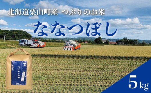 ななつぼし 精米 5kg 北海道栗山町産 粒里米　D085
