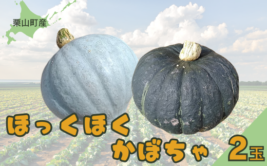 北海道栗山町産 ほっくほくかぼちゃ 2玉　C048