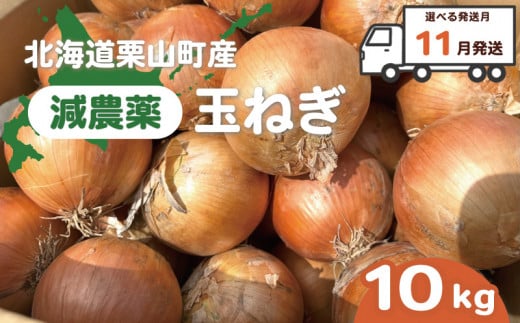 【11月発送】越冬用減農薬玉ねぎ10kg A003