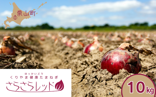 くりやま健康タマネギ「さらさらレッド」10kg　D026
