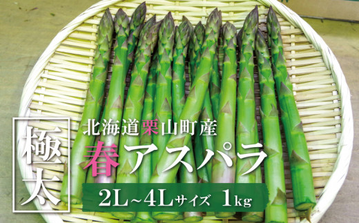 【先行予約】極太！JAそらち南 春の味覚「グリーンアスパラガス」2L～4L 1kg前後　YC013