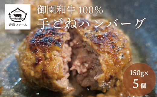 国産 御園和牛100％ 手ごねハンバーグ150g×5個　E028