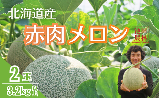 【先行予約】北海道栗山町産 幻のメロン 2玉　YD025