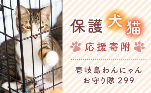【※注意※市の返礼品なし】5-3．壱岐島わんにゃんお守り隊299（NPO等指定寄附）