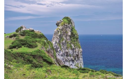 7. その他　特に指定がない場合は、必要な事業に活用させていただきます。