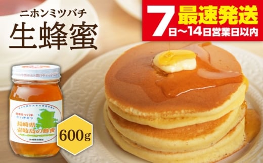 ニホンミツバチ 生蜂蜜 600g《壱岐市》【憲ちゃんハチミツ】[JCL001] はちみつ ハチミツ 蜂蜜 日本蜜蜂 国産 非加熱 30000 30000円