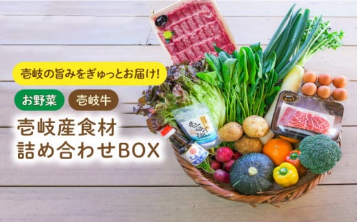 壱岐産 食材詰め合わせ 野菜と壱岐牛   《壱岐市》【壱岐イルカパーク＆リゾート】[JBF013] 42000 42000円