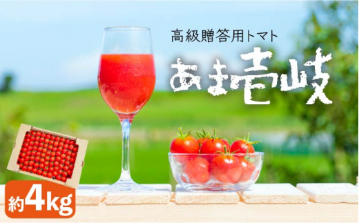 【先行予約】トマト ミディトマト  約4kg 高級贈答用「あま壱岐」【2025年12月以降順次発送】 [JAE005] 野菜 ギフト プレゼント 贈り物 28000 28000円