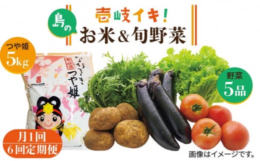 [先行予約][全6回定期便]壱岐産米つや姫5kg・旬の野菜5品[2025年10月中旬以降順次発送][壱岐市][壱岐市農業協同組合] [JBO048] 野菜 食材 夏野菜 セット 野菜セット スムージー 米 お米 つや姫 ご飯 旬 鮮度 新鮮 定期便 138000 138000円