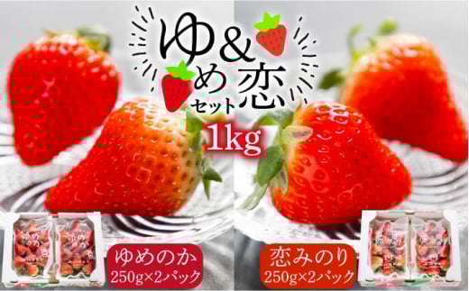 【先行予約】ゆめ恋セット（ゆめのか・恋みのり）計1kg【2026年2月以降順次発送】《壱岐市》【蒼花】[JEO001] いちご イチゴ 苺 フルーツ 果物 スムージー ジャム ゆめのか 恋みのり セット 食べ比べ 小分け パック 冷蔵 あまおう 15000 15000円