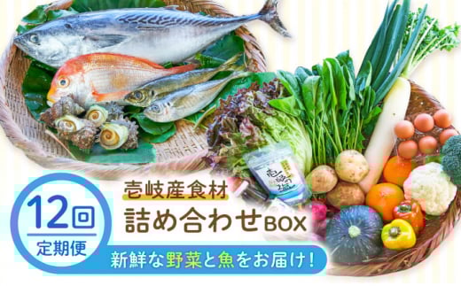 【全12回定期便】壱岐産食材詰め合わせBOX「野菜と魚」 [JBF026] 詰め合わせ 野菜 卵 鮮魚 セット 504000 504000円