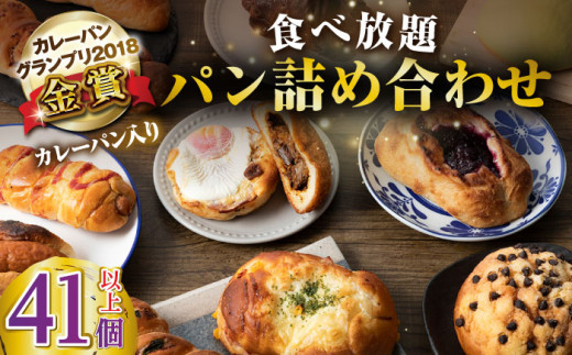 壱岐島満喫食べ放題 パック  41個 セット カレー パン ハード  ステーキ 朝食 高級 詰め合わせ 《壱岐市》【パンプラス】[JEU004] 51000 51000円