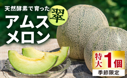 【先行予約】【贈答用】 アムスメロン「翠」 特大1個 【2026年6月中旬以降順次発送】《壱岐市》【フレッシュメイト壱岐】[JAZ006] メロン めろん 特大 大 アムスメロン 果物 くだもの 果実 フルーツ デザート ギフト 贈答 プレゼント 10000 10000円