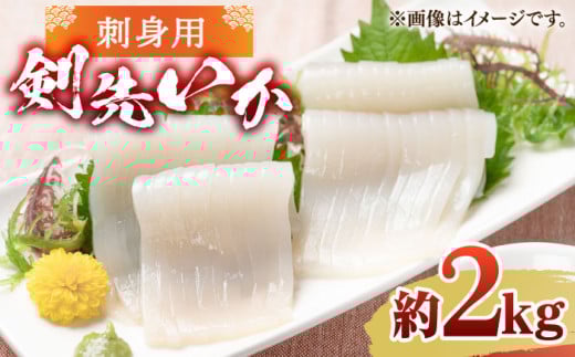 刺身用 剣先イカ 約2kg（急速冷凍）《壱岐市》【魚助】 イカ いか 剣先いか ケンサキイカ 刺身 刺し身 お刺身 鮮魚 海鮮 [JFX001]