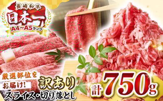 【訳あり】【A4〜A5ランク】 長崎和牛 しゃぶしゃぶ・すき焼きセット 750g《壱岐市》【株式会社MEAT PLUS】 肉 牛肉 黒毛和牛 鍋 ご褒美 冷凍配送 訳あり 切り落とし しゃぶしゃぶ用 すき焼き用 すき焼用 A4 A5 [JGH018]