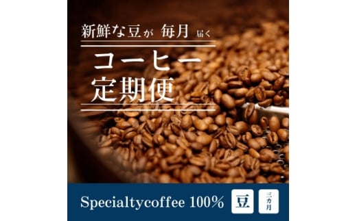 ＜毎月定期便＞毎月違うコーヒー豆をお届け スペシャルティコーヒー 豆 300g全3回【4075096】