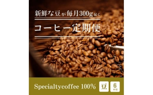 ＜毎月定期便＞毎月違うコーヒー豆をお届け スペシャルティコーヒー 豆 300g全6回【4075098】