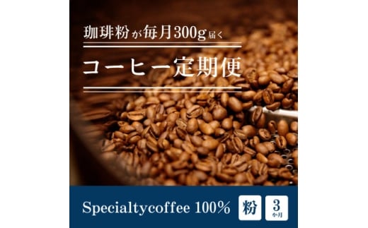 ＜毎月定期便＞毎月違うコーヒー粉をお届け スペシャルティコーヒー 粉(中挽き) 300g全3回【4075097】