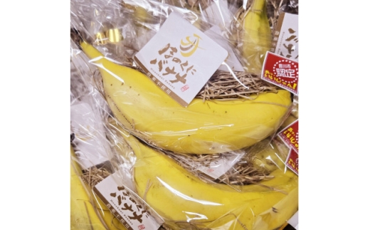 ほのくにバナナ　170g以上(LL)8本入り【1641182】